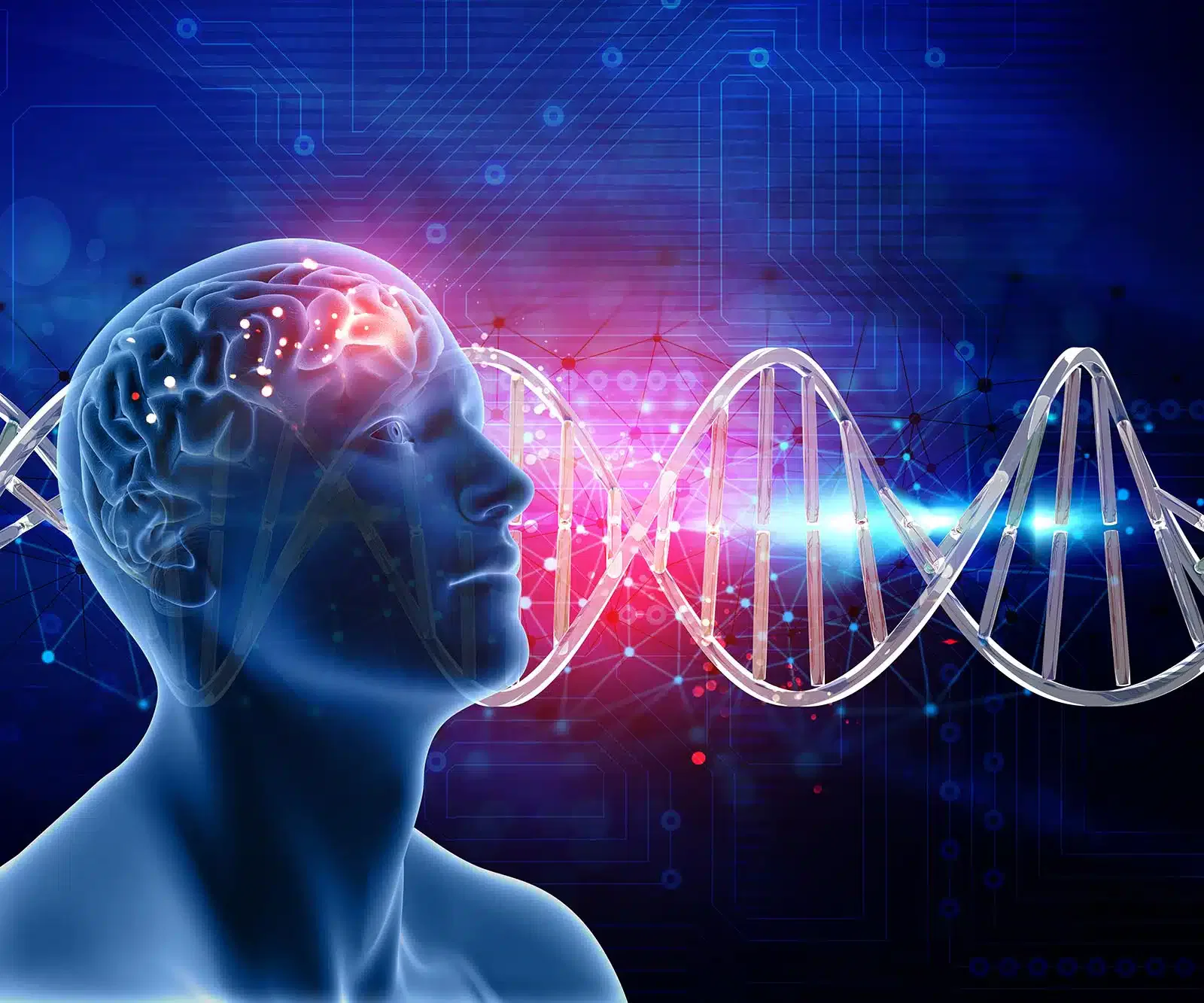 ¿Cómo afectan las drogas al cerebro?