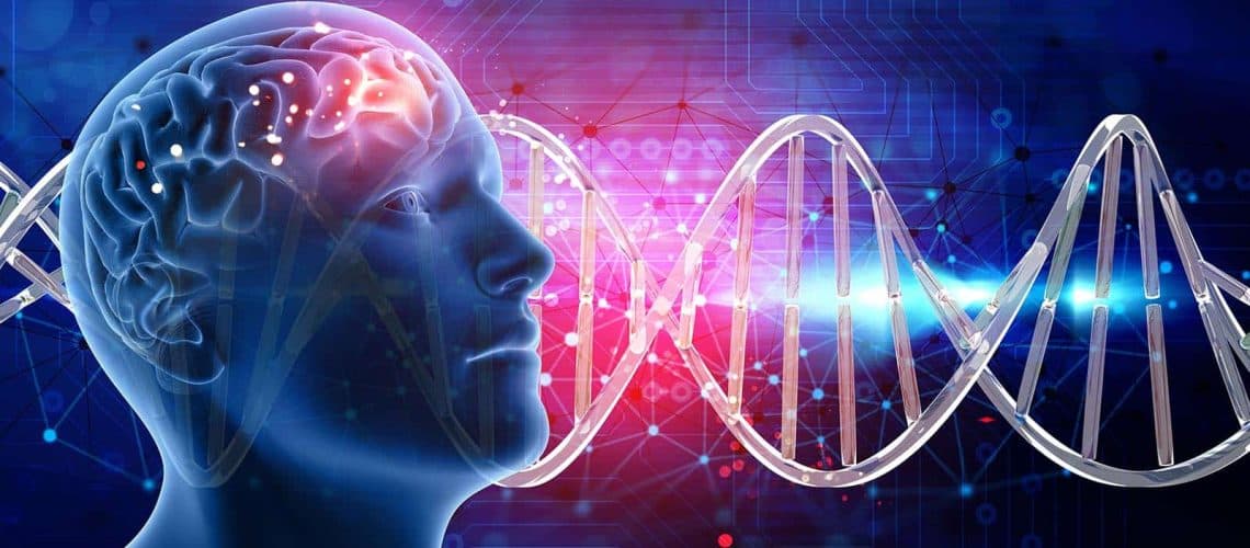 ¿Cómo afectan las drogas al cerebro?