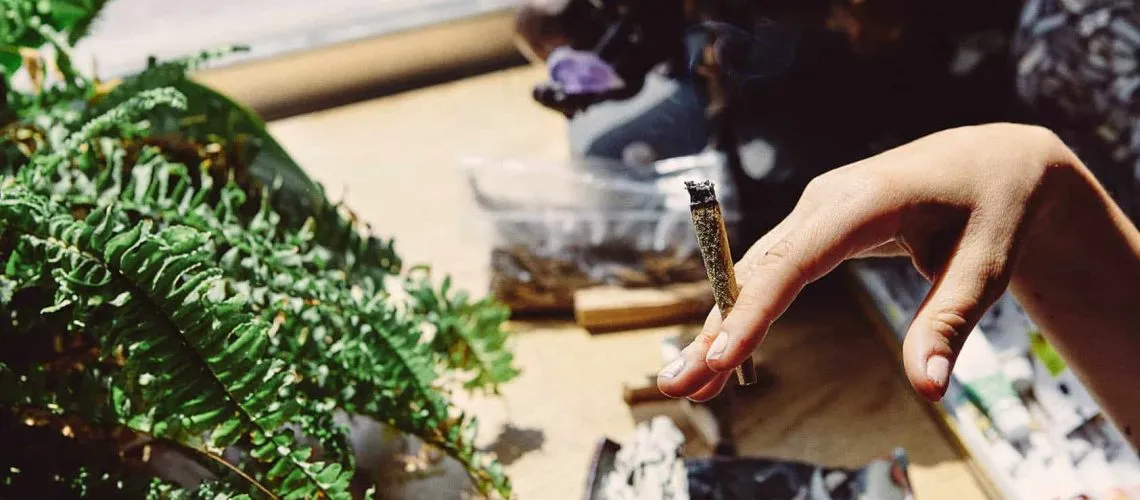 efectos de dejar los porros